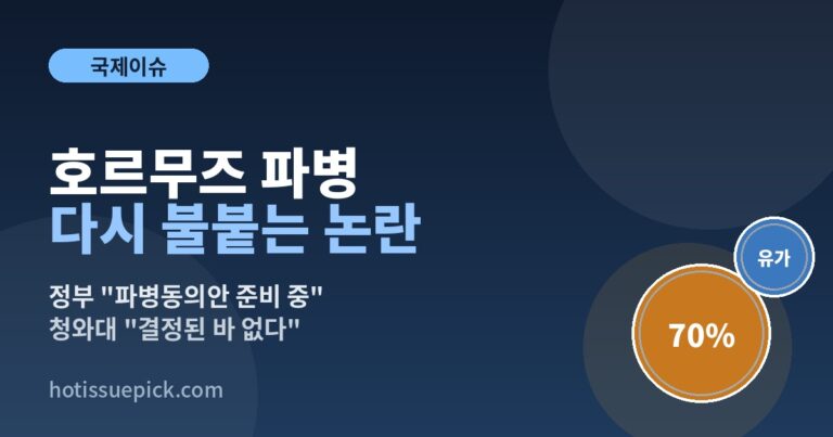 호르무즈 파병 논란 정부 파병동의안 준비 청와대 결정된 바 없다 안내 이미지